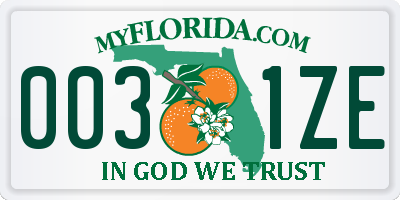 FL license plate 0031ZE