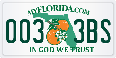 FL license plate 0033BS