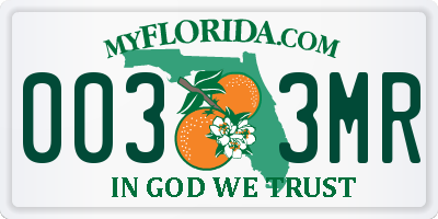FL license plate 0033MR