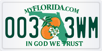 FL license plate 0033WM