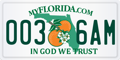 FL license plate 0036AM
