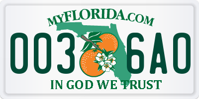 FL license plate 0036AO