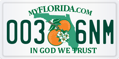 FL license plate 0036NM