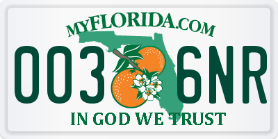 FL license plate 0036NR