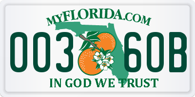 FL license plate 0036OB