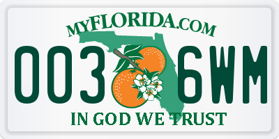 FL license plate 0036WM