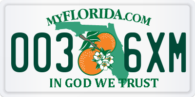 FL license plate 0036XM