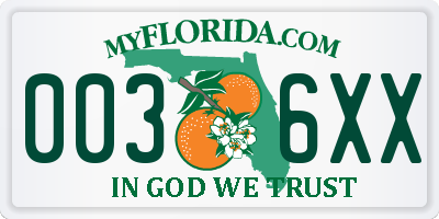 FL license plate 0036XX