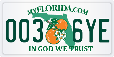 FL license plate 0036YE