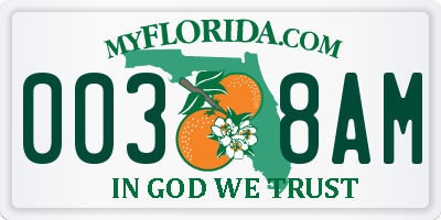 FL license plate 0038AM