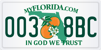 FL license plate 0038BC