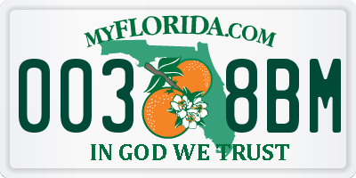 FL license plate 0038BM