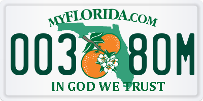 FL license plate 0038OM