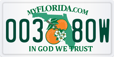 FL license plate 0038OW
