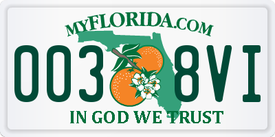 FL license plate 0038VI