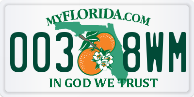 FL license plate 0038WM