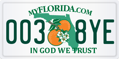 FL license plate 0038YE