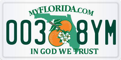 FL license plate 0038YM