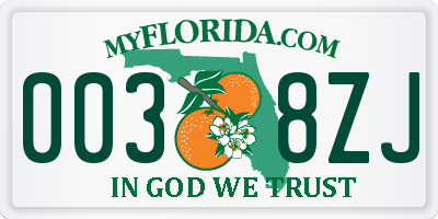 FL license plate 0038ZJ
