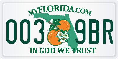 FL license plate 0039BR