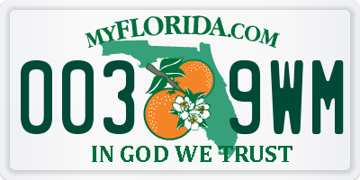 FL license plate 0039WM