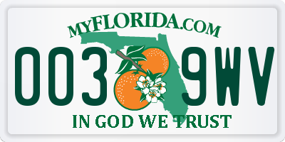 FL license plate 0039WV