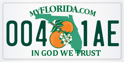 FL license plate 0041AE