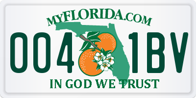 FL license plate 0041BV