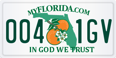 FL license plate 0041GV