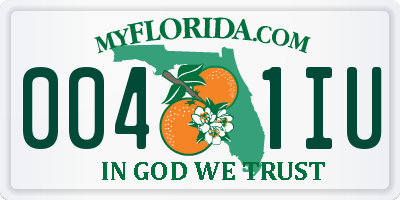 FL license plate 0041IU