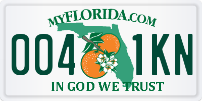 FL license plate 0041KN