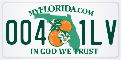 FL license plate 0041LV