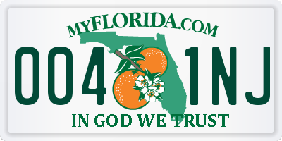 FL license plate 0041NJ