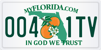 FL license plate 0041TV