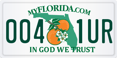 FL license plate 0041UR