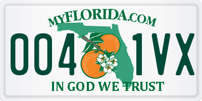 FL license plate 0041VX