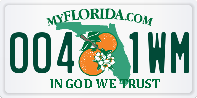 FL license plate 0041WM