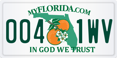 FL license plate 0041WV