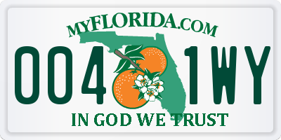 FL license plate 0041WY