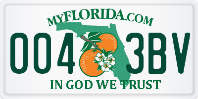 FL license plate 0043BV