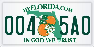 FL license plate 0045AO