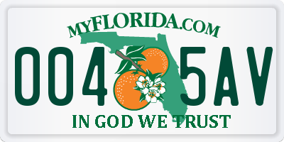 FL license plate 0045AV