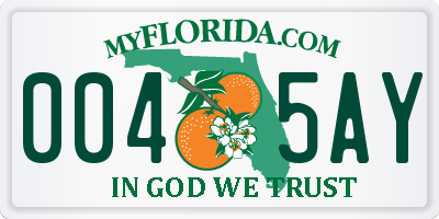 FL license plate 0045AY
