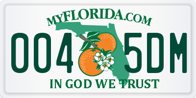 FL license plate 0045DM
