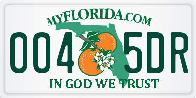FL license plate 0045DR