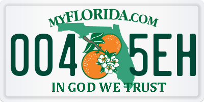 FL license plate 0045EH