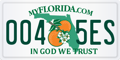 FL license plate 0045ES