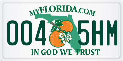 FL license plate 0045HM