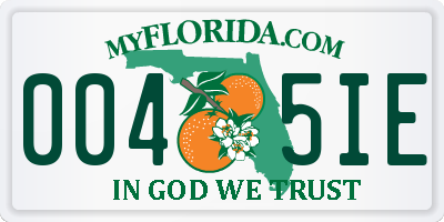 FL license plate 0045IE