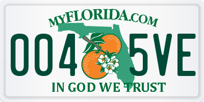 FL license plate 0045VE